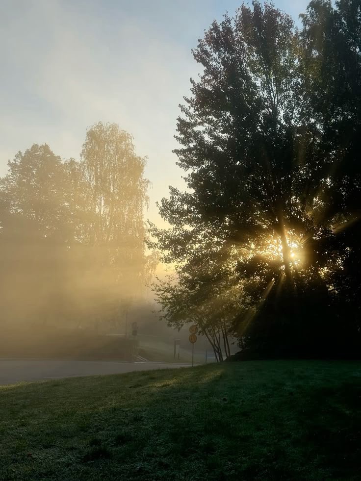 Self-Development: Becoming the Best Version of&nbsp;Yourself